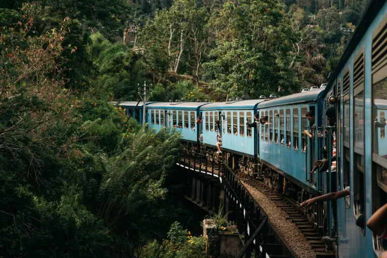 Des touristes dans le célèbre train du Sri Lanka, le trajet en train d'Ella au Sri Lanka.