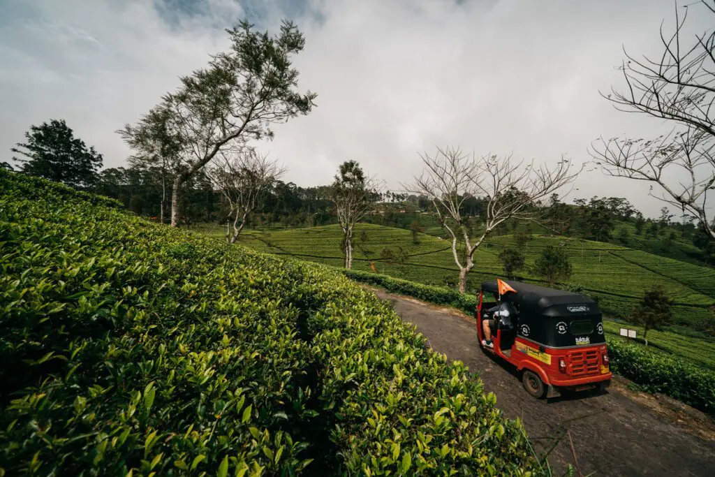 Découvrir le Sri Lanka en tuktuk, en parcourant les routes verdoyantes à bord de ce moyen de transport typique.