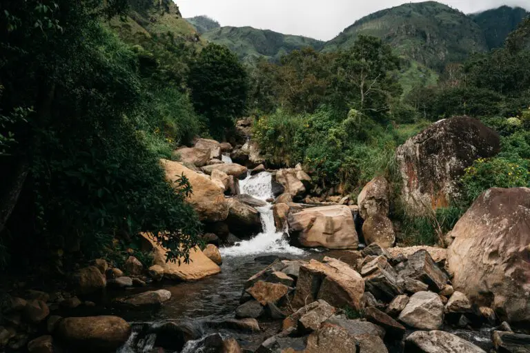 Cascade au Sri Lanka, Udawalawe