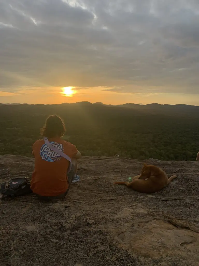 Randonnée au lever du soleil sur la montagne Pidurangala au Sri Lanka.
